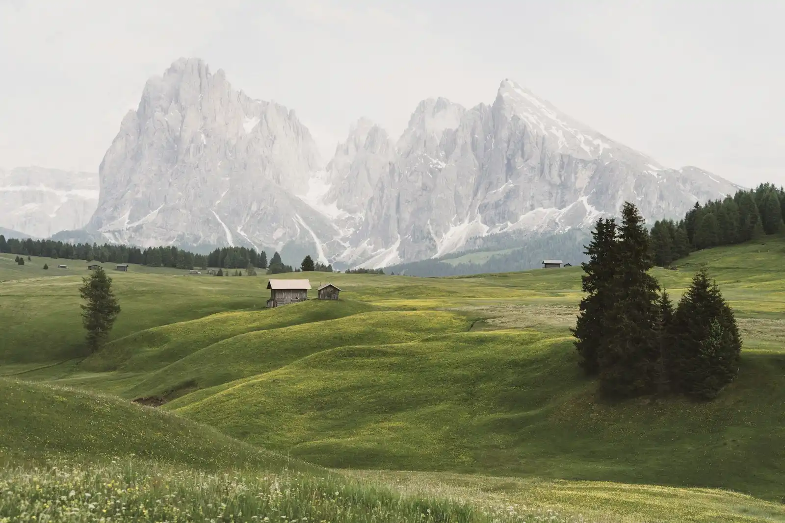Alpe di Siusi (Seiser Alm)